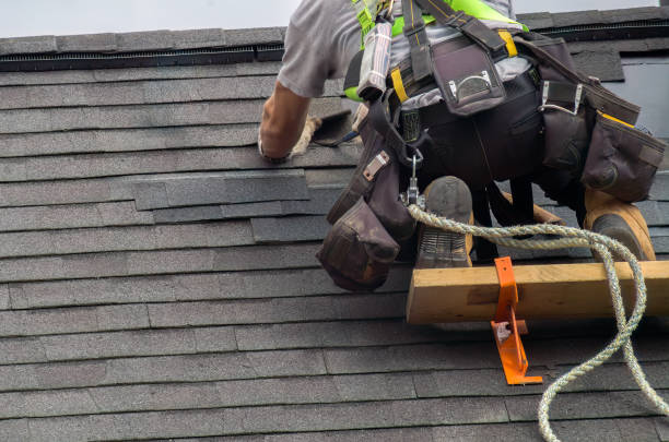 Best Roof Gutter Cleaning  in Huron, SD
